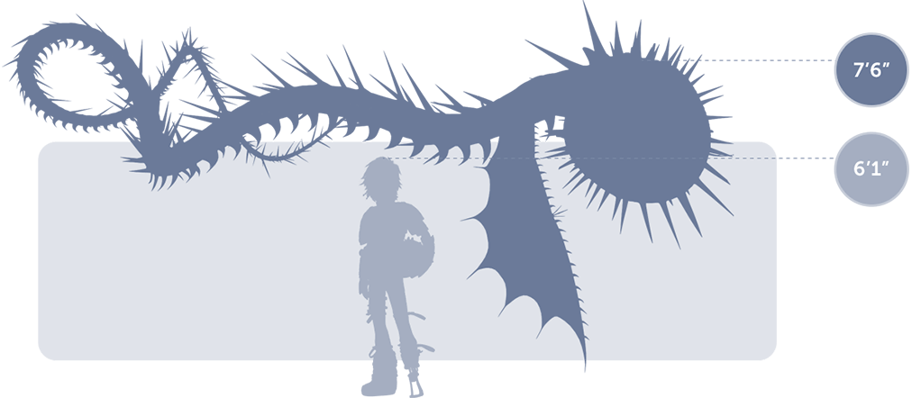 dragon size chart